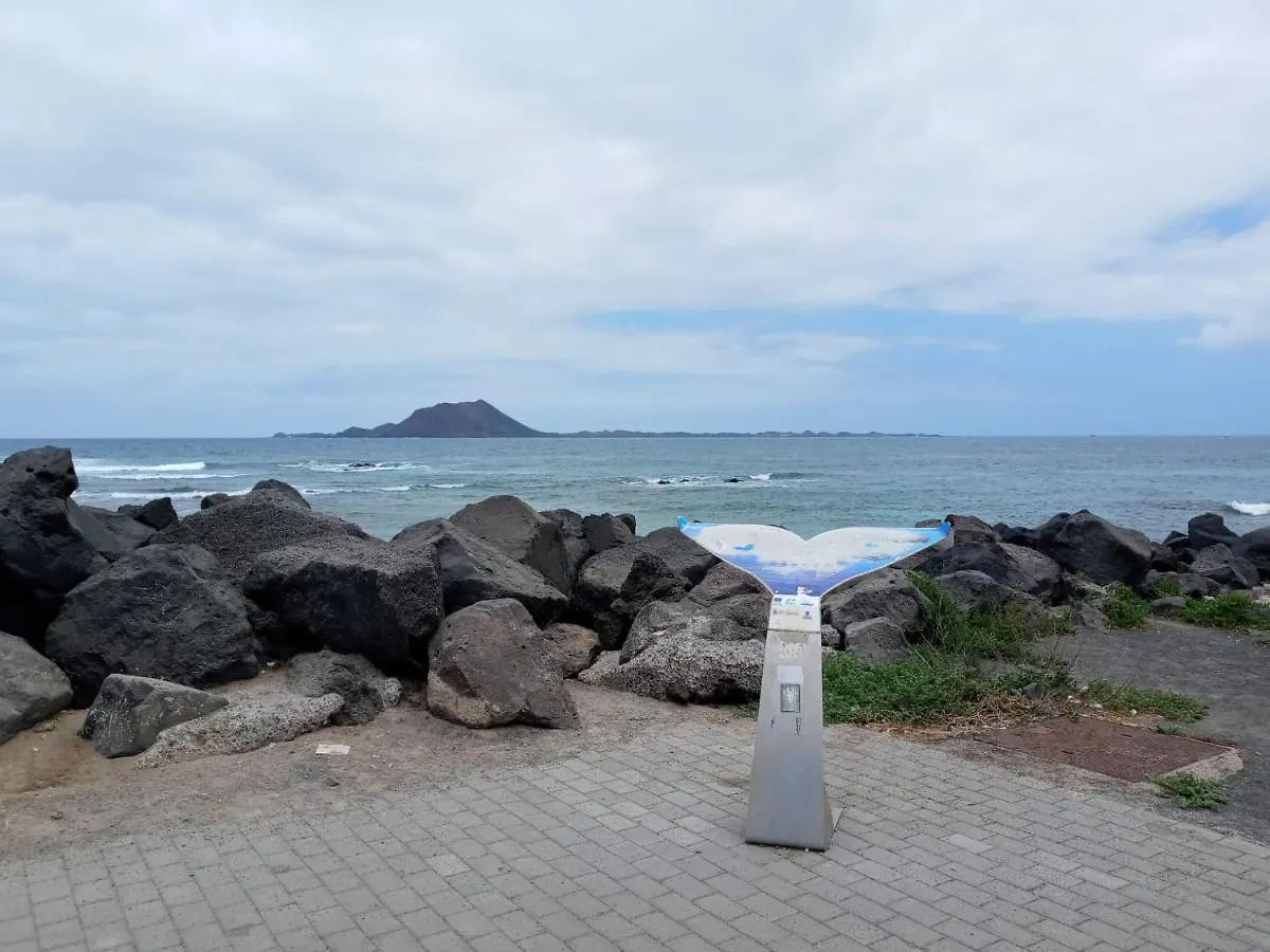 Apartamento La flor del Atlantico Corralejo 0*,