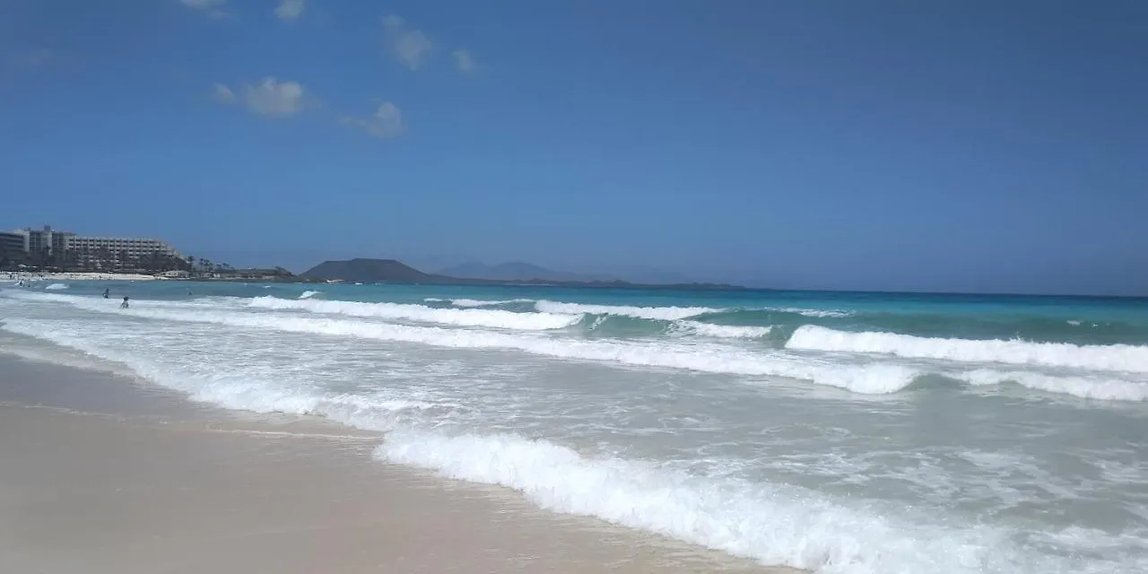 Apartamento La flor del Atlantico Corralejo