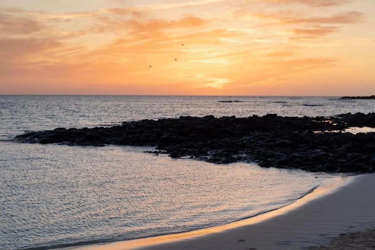 Apartamento La flor del Atlantico Corralejo
